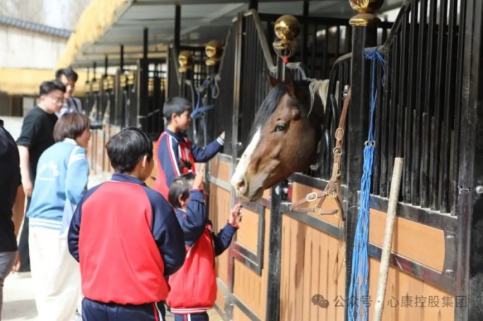 马术律动，唤醒星星孩子内心的灵动世界